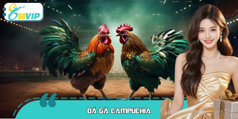Đá Gà Campuchia Tại 68VIP: Nơi Hội Tụ Những Chiến Kê Số 1